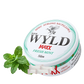 FRESH MINT