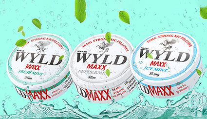 ICY MINT Mobile Banner