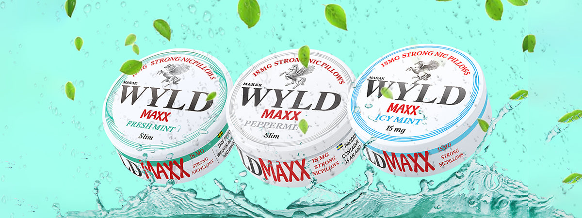 ICY MINT Desktop Banner