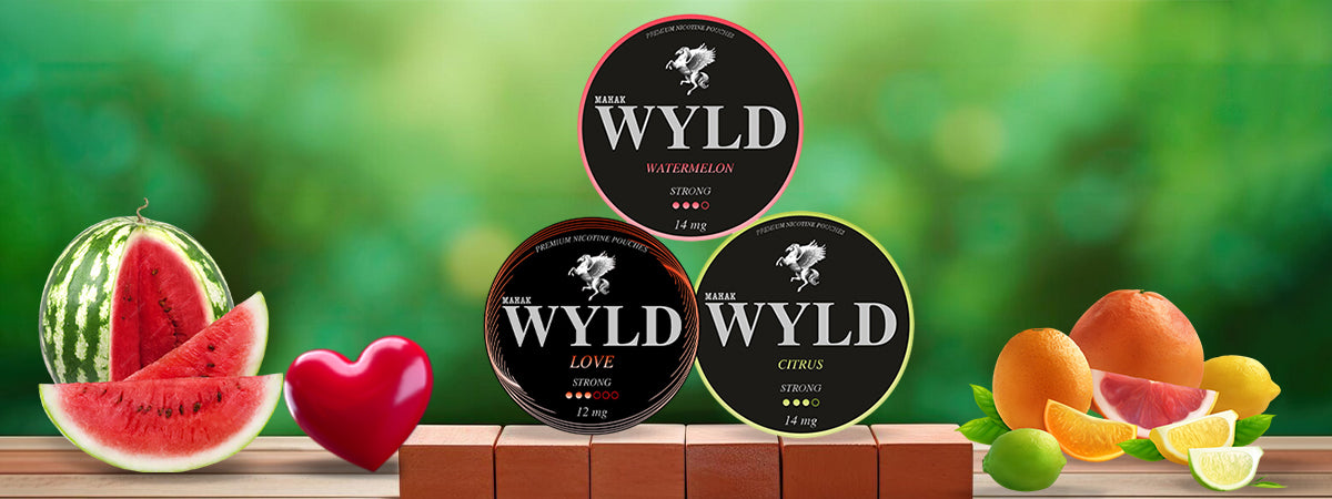 MIX BUNDLE Desktop Banner