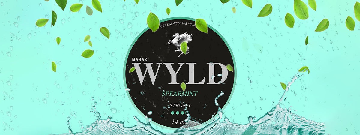 SPEARMINT Desktop Banner