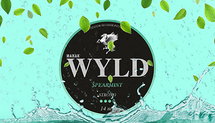 SPEARMINT Mobile Banner