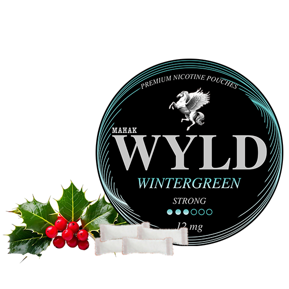 WINTERGREEN